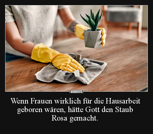 Lustige Bilder zum Thema: Wenn, Frauen, Hausarbeit, Gott, Staub