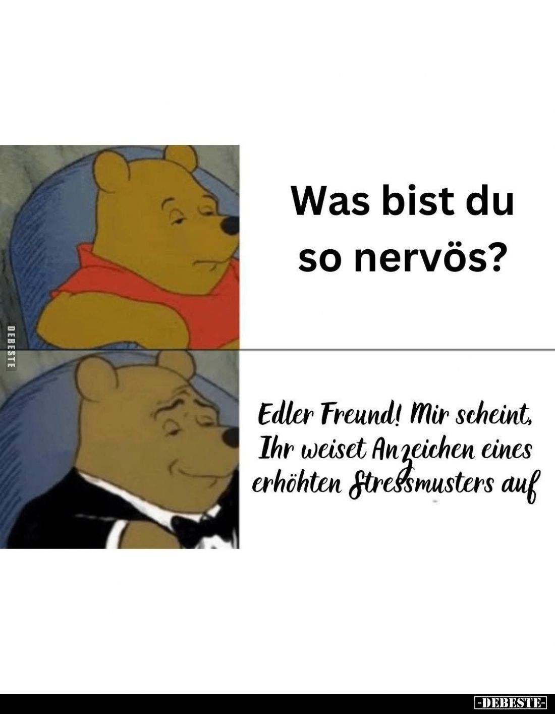 Was bist du so nervös? -
Edler Freund! Mir scheint, Ihr weiset Anzeichen eines erhöhten Stressmusters auf.