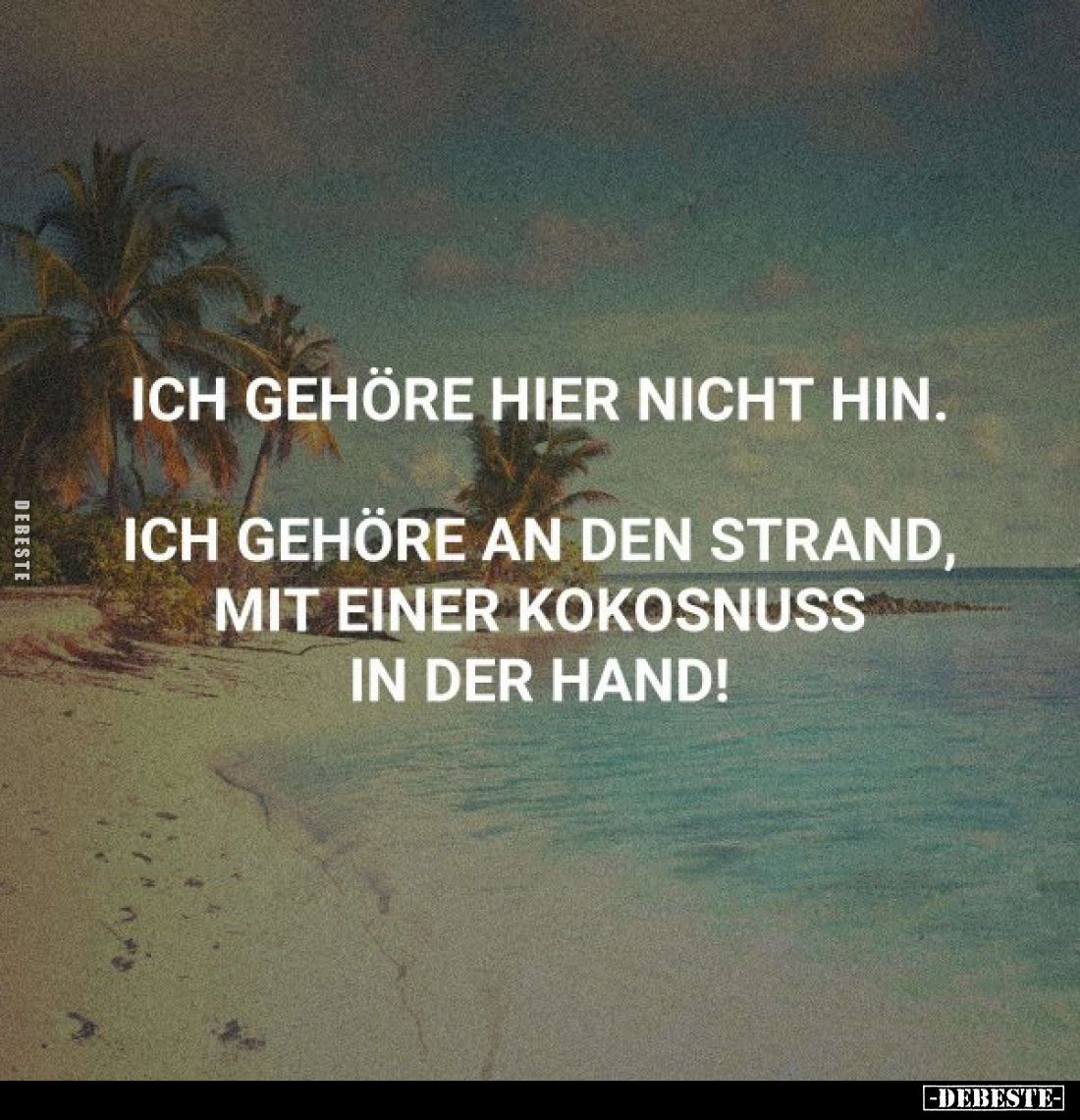 Ich gehöre hier nicht hin.
Ich gehöre an den Strand, mit einer Kokosnuss in der Hand!