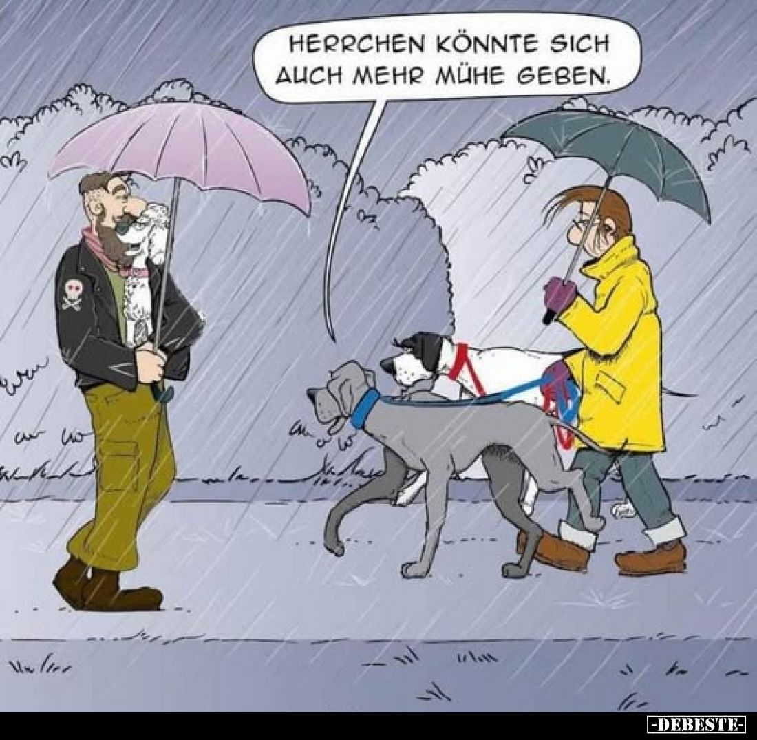 Herrchen könnte sich auch mehr Mühe geben.