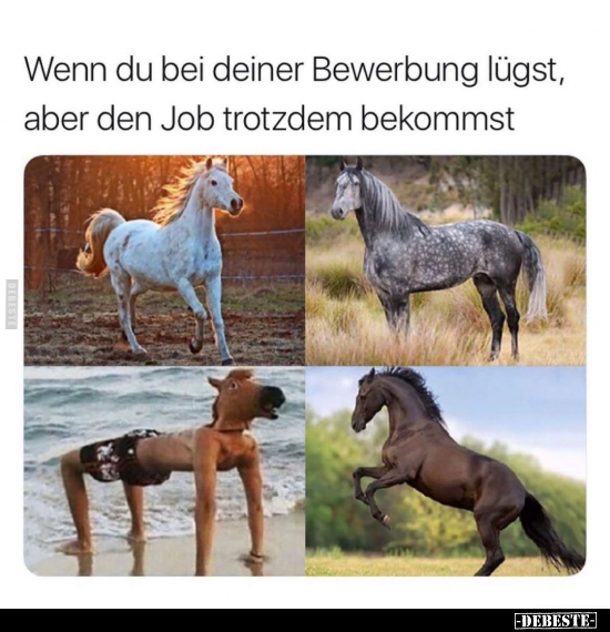 Wenn du bei deiner Bewerbung lügst, aber den Job trotzdem.. - Lustige Bilder | DEBESTE.de
