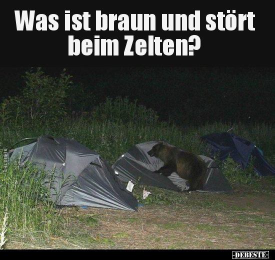 Was ist braun und stört beim Zelten?.. - Lustige Bilder | DEBESTE.de
