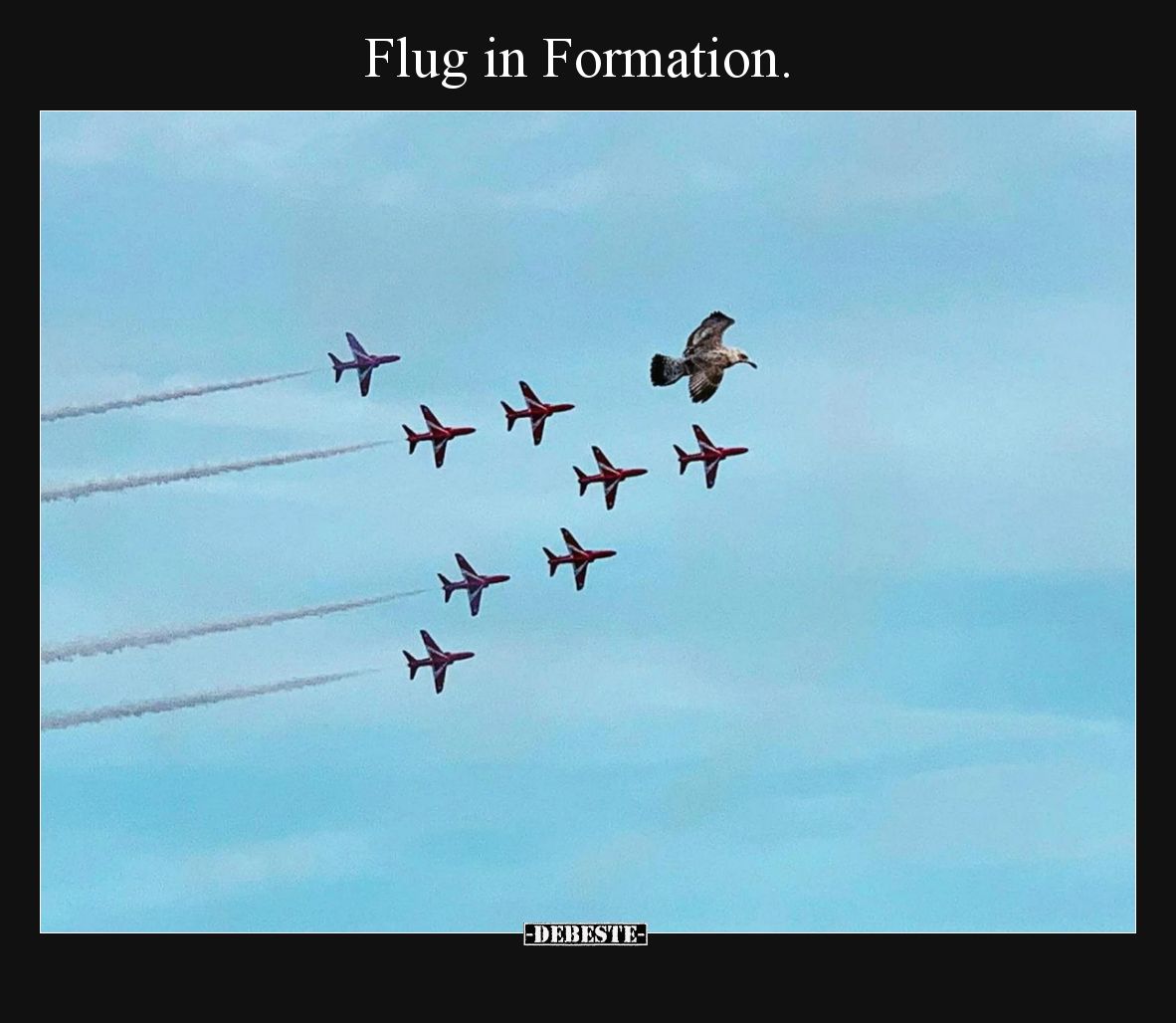 Flug in Formation.