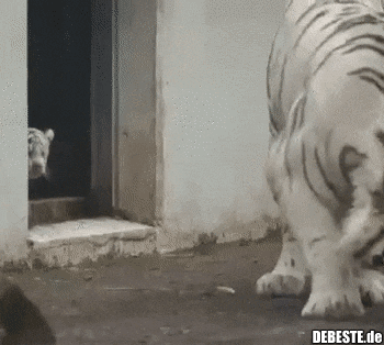 Buh! - Lustige Bilder | DEBESTE.de