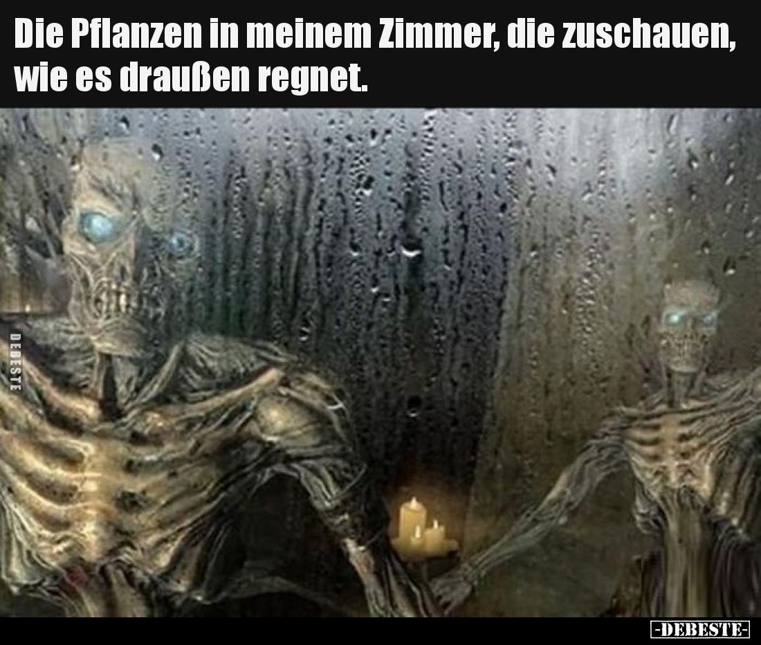 Die Pflanzen in meinem Zimmer, die zuschauen, wie es draußen regnet.