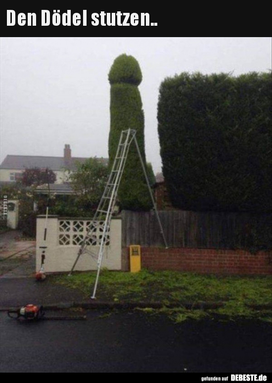 Den Dödel stutzen..