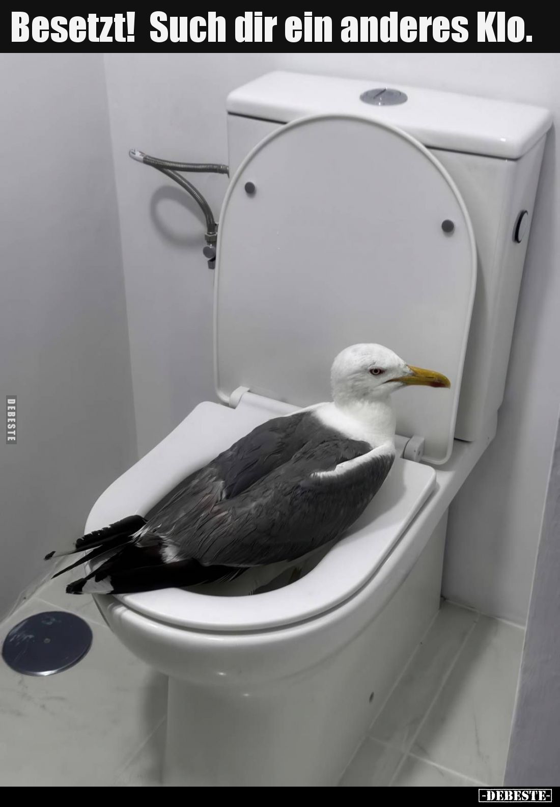 Besetzt! Such dir ein anderes Klo... - Lustige Bilder | DEBESTE.de