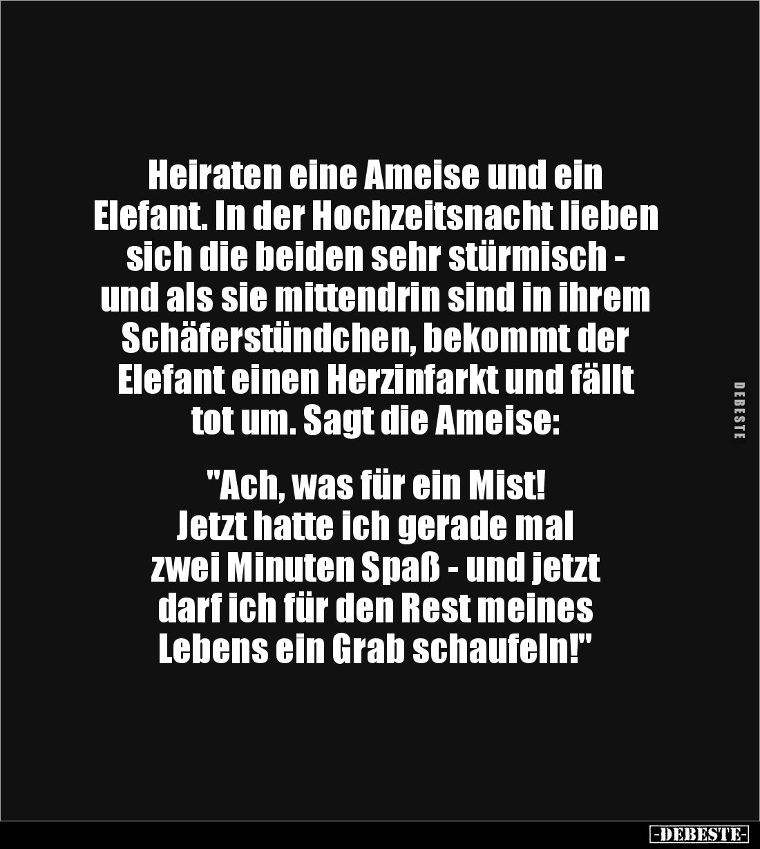 Heiraten eine Ameise und ein 
Elefant. In der Hochzeitsnacht lieben sich die beiden sehr stürmisch - 
und als sie mittendri...