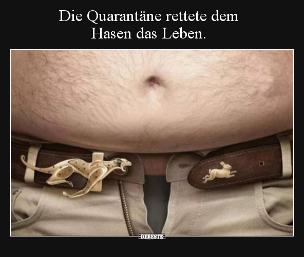 Die Quarantäne rettete dem Hasen das Leben... - Lustige Bilder | DEBESTE.de