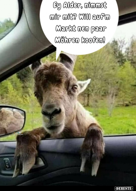 Ey Alder, nimmst mir mit? Will auf’m Markt nen paar Möhren..