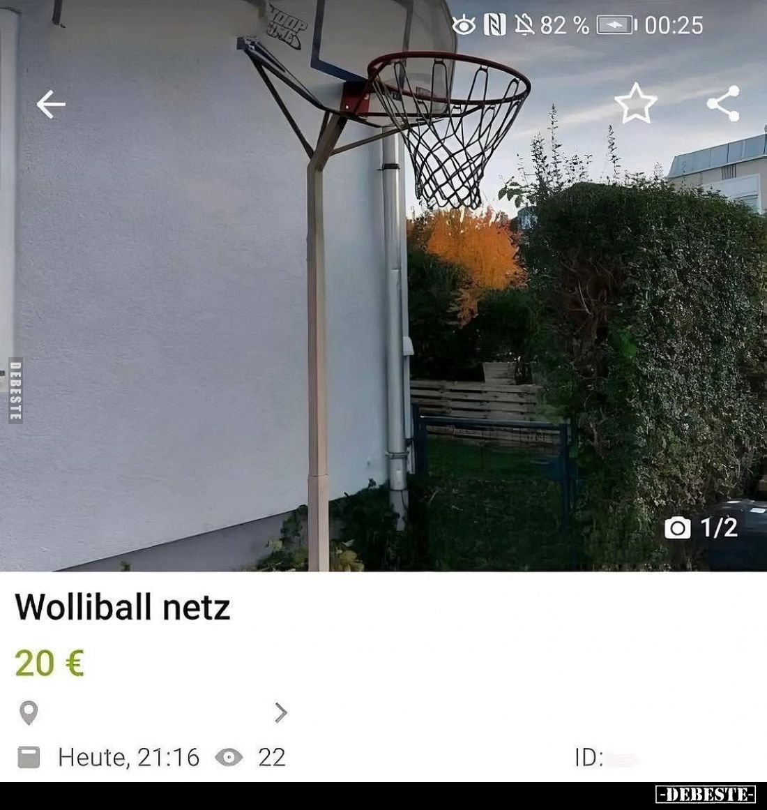 Wolliball Netz.