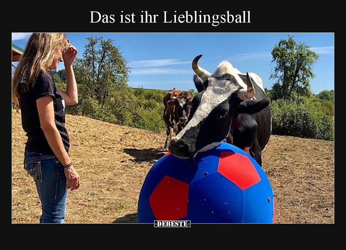 Das ist ihr Lieblingsball