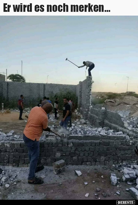 Er wird es noch merken...