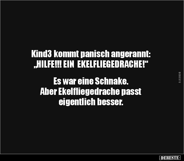 Kind3 kommt panisch angerannt: "HILFE!!! EIN.." - Lustige Bilder | DEBESTE.de