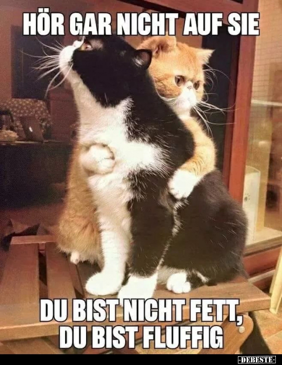 Hör gar nicht auf sie..