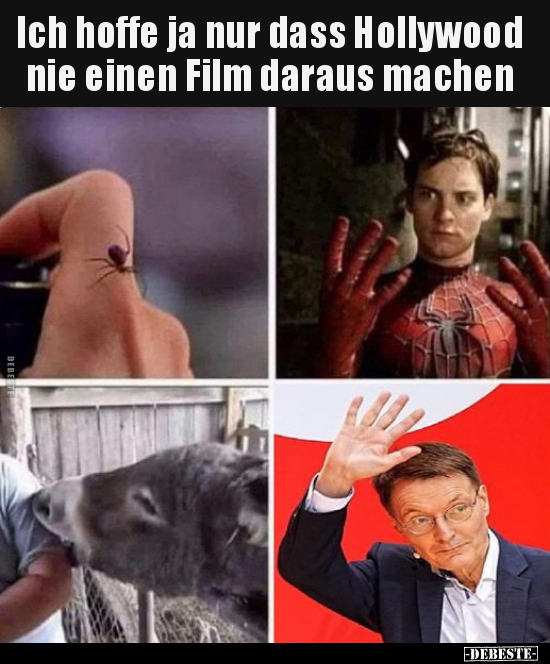 Ich hoffe ja nur dass Hollywood nie einen Film daraus machen
