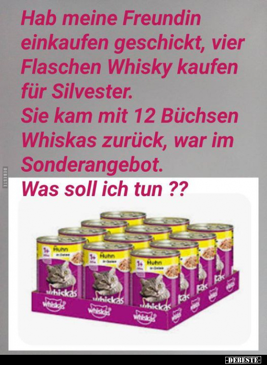 Hab meine Freundin einkaufen geschickt, vier Flaschen.. - Lustige Bilder | DEBESTE.de