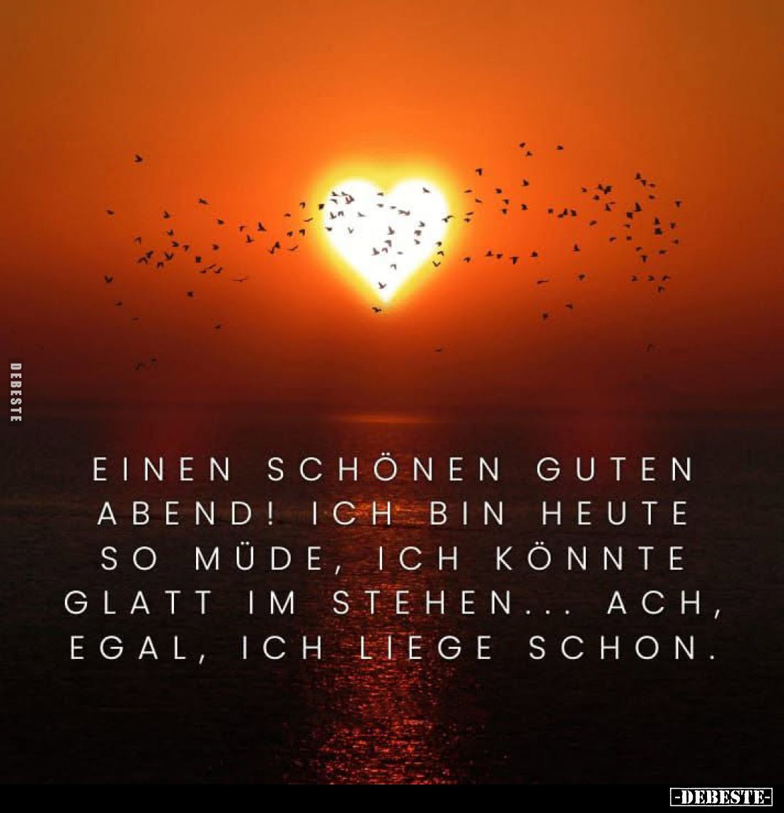 Einen schönen guten Abend! Ich bin heute so müde, ich könnte glatt im stehen... Ach, egal, ich liege schon.