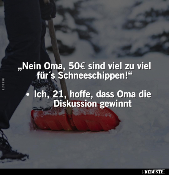 " Nein Oma, 50€ sind viel zu viel für's Schneeschippen!".. - Lustige Bilder | DEBESTE.de
