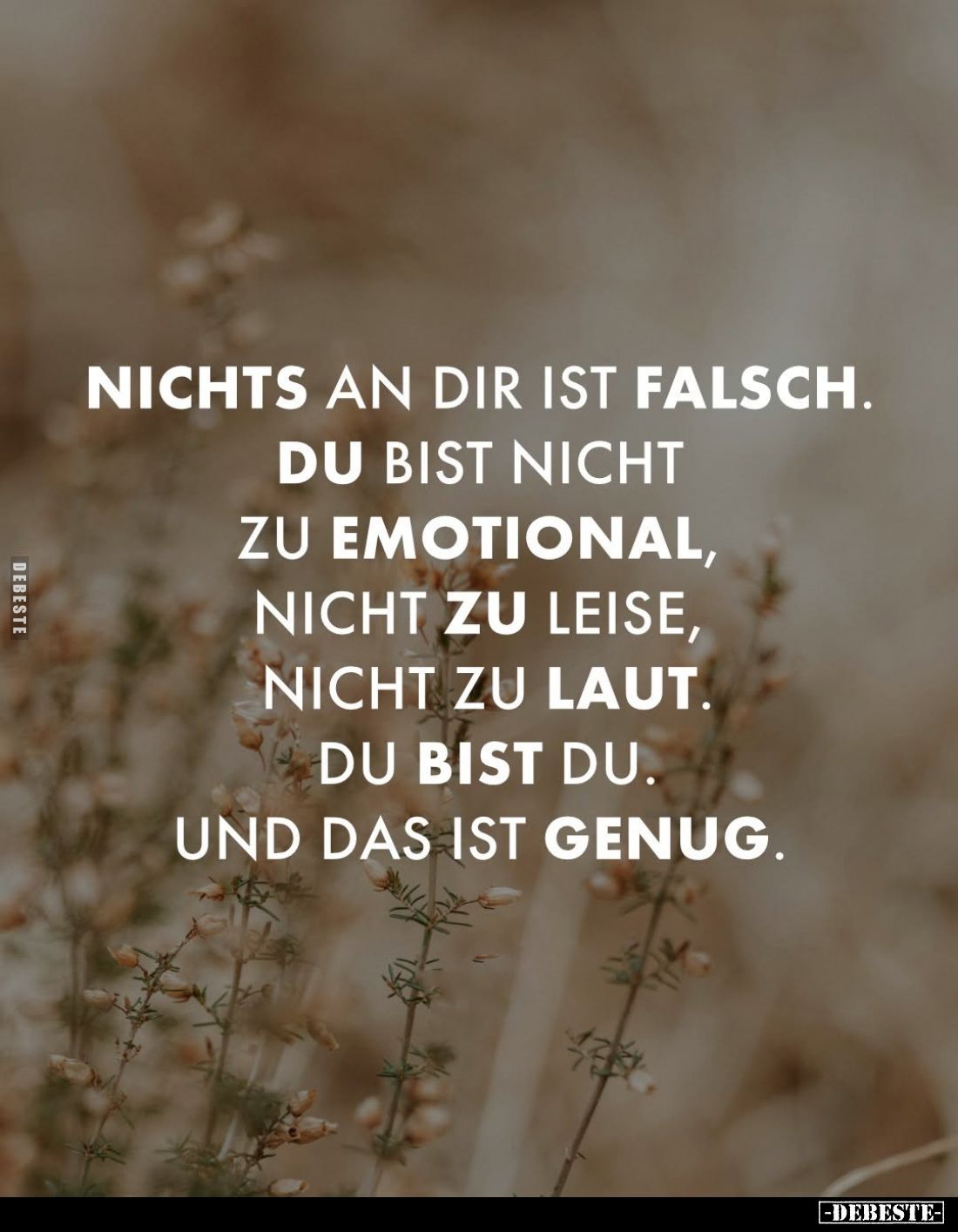 Nichts an dir ist falsch. Du bist nicht zu emotional, nicht zu leise, nicht zu laut. Nichts an dir ist falsch. Du bist nicht ...