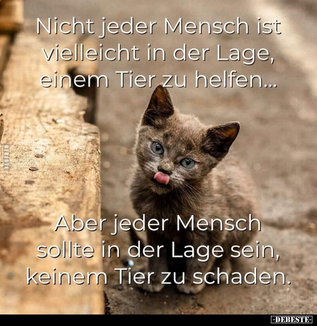 Nicht jeder Mensch ist vielleicht in der Lage, einem Tier zu helfen...
Aber jeder Mensch sollte in der Lage sein, keinem Tie...