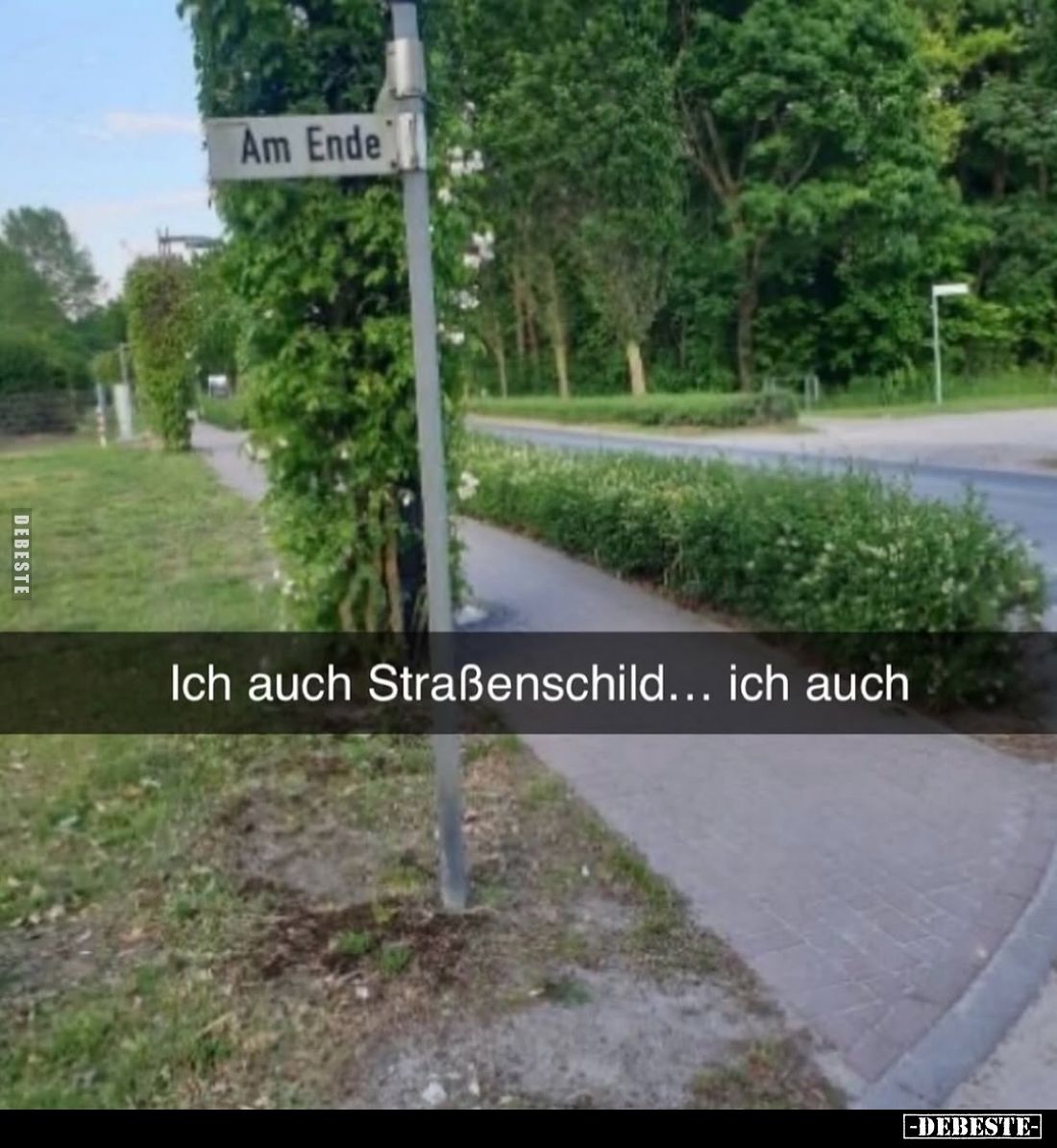 Ich auch Straßenschild... ich auch.