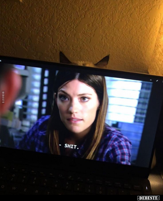  - Lustige Bilder | DEBESTE.de