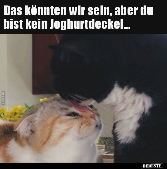 Das könnten wir sein, aber du bist kein..