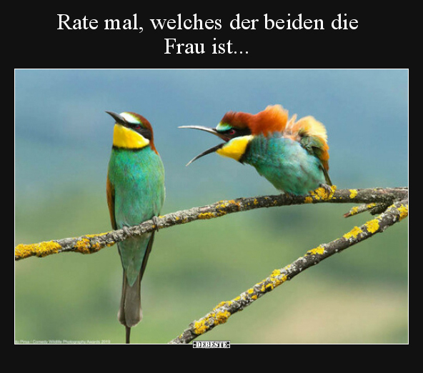 Rate mal, welches der beiden die Frau ist... - Lustige Bilder | DEBESTE.de