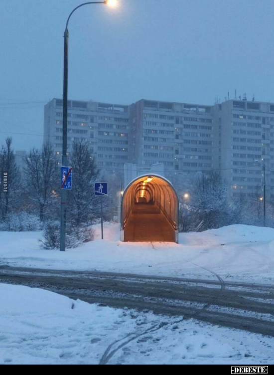  - Lustige Bilder | DEBESTE.de