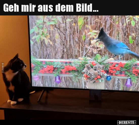 Geh mir aus dem Bild... - Lustige Bilder | DEBESTE.de