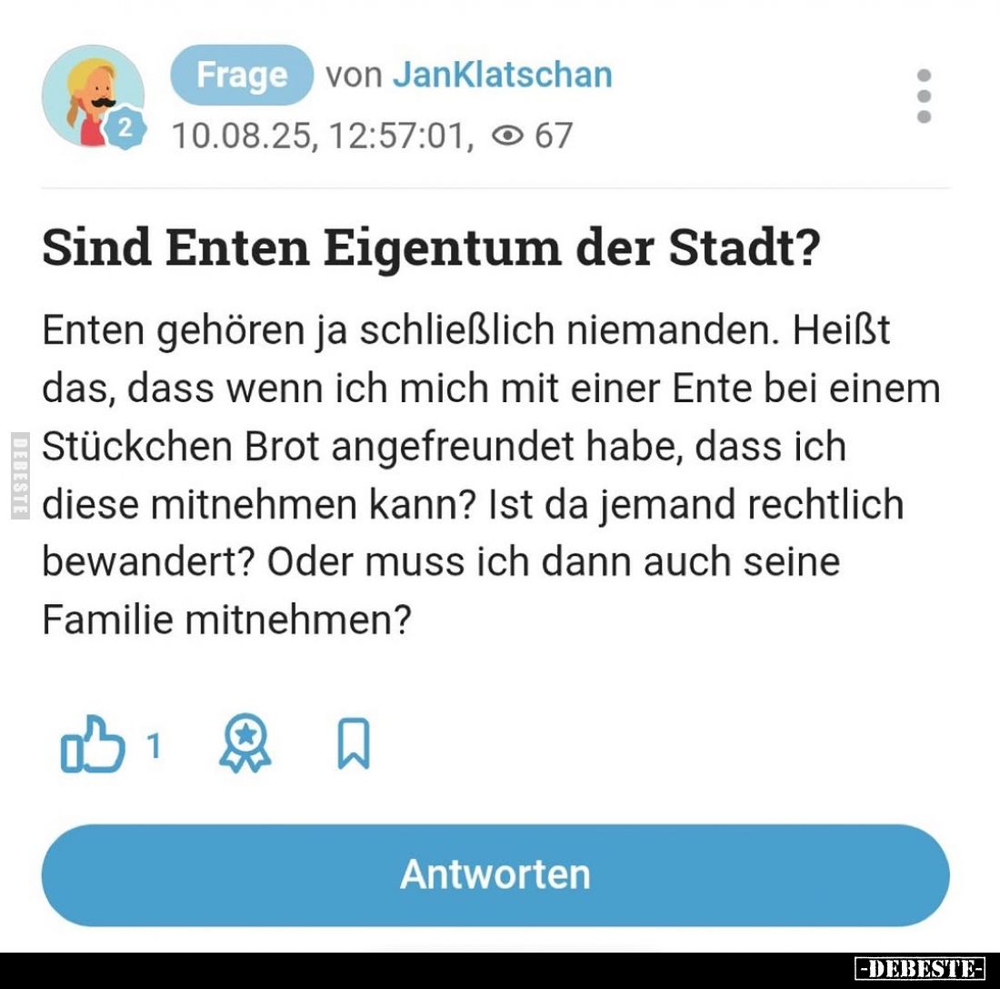 Sind Enten Eigentum der Stadt?.. - Lustige Bilder | DEBESTE.de