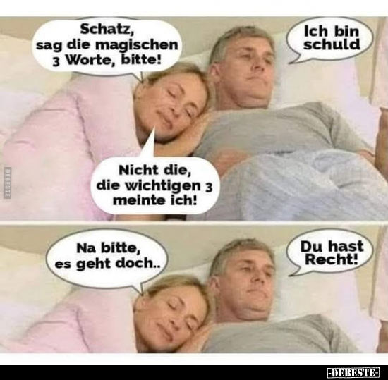 Schatz, sag die magischen 3 Worte, bitte!.. - Lustige Bilder | DEBESTE.de