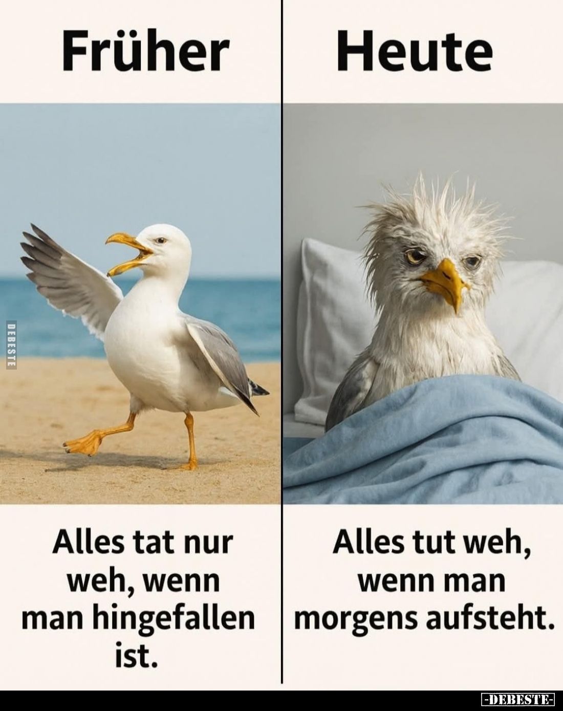 Früher: Alles tat nur weh, wenn man hingefallen ist. -
Heute: Alles tut weh, wenn man morgens aufsteht.