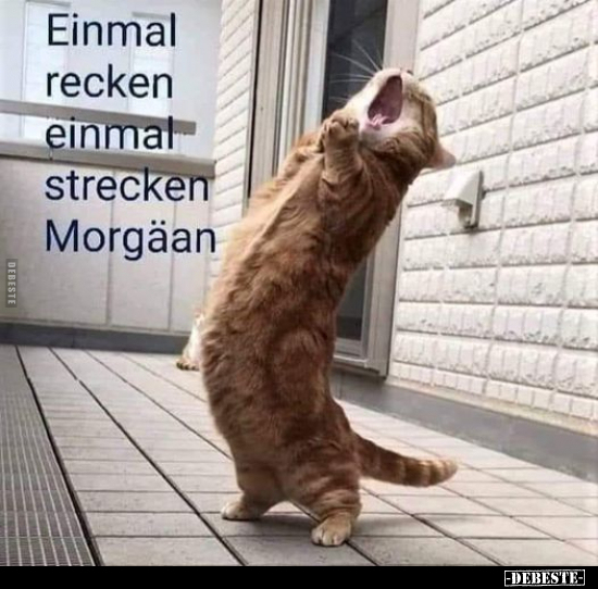 Einmal recken einmal strecken Morgäan