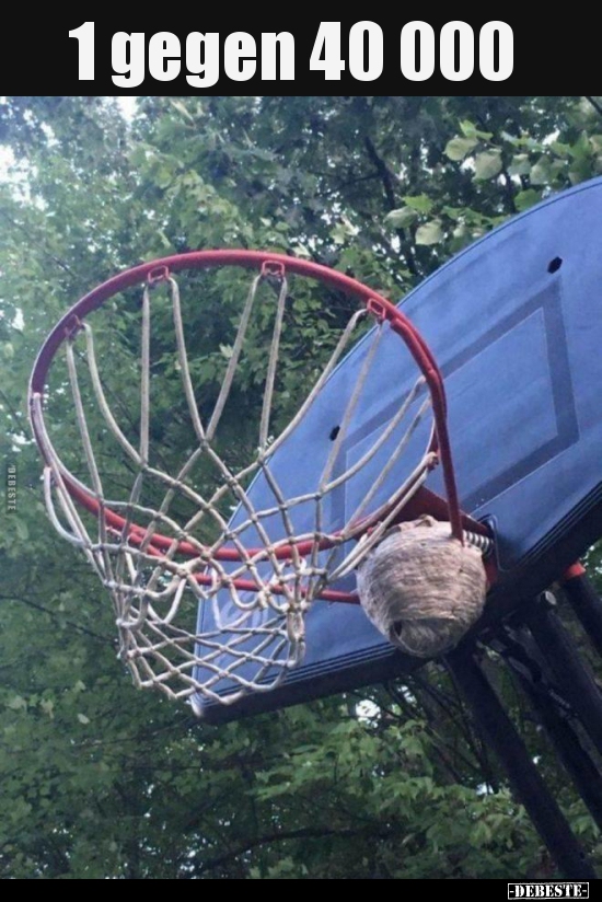 1 gegen 40 000..