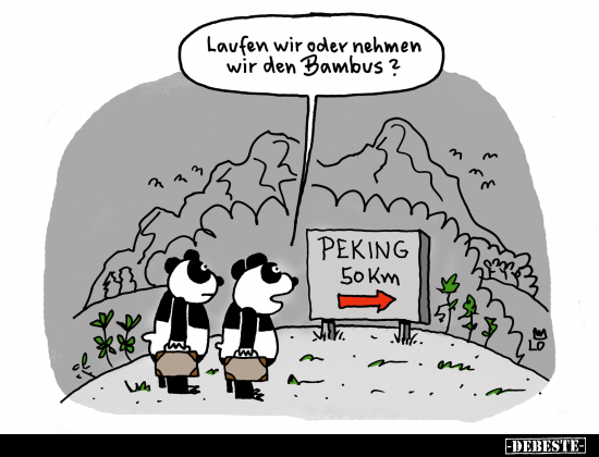 Laufen wir oder nehmen wir den Bambus?.. - Lustige Bilder | DEBESTE.de