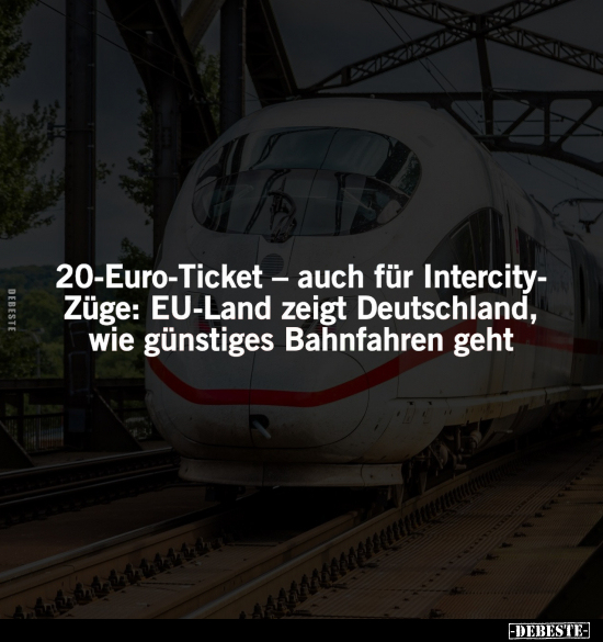 20-Euro-Ticket - auch für Intercity-Züge.. - Lustige Bilder | DEBESTE.de