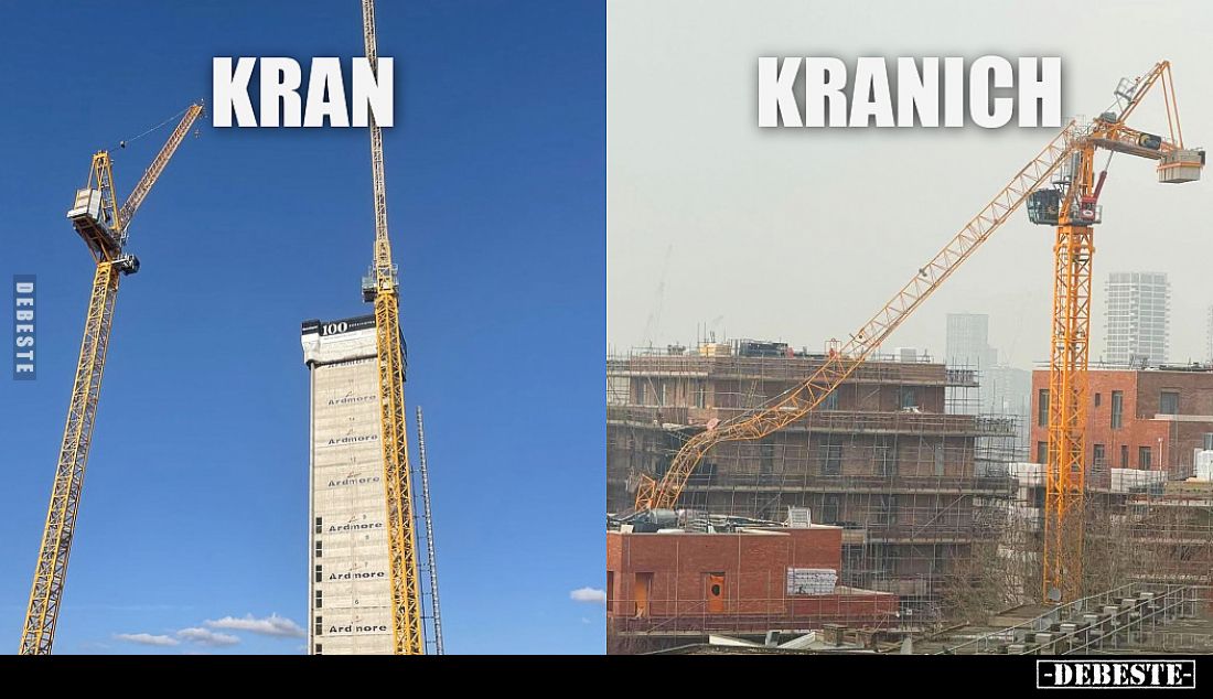 KRAN - KRANICH