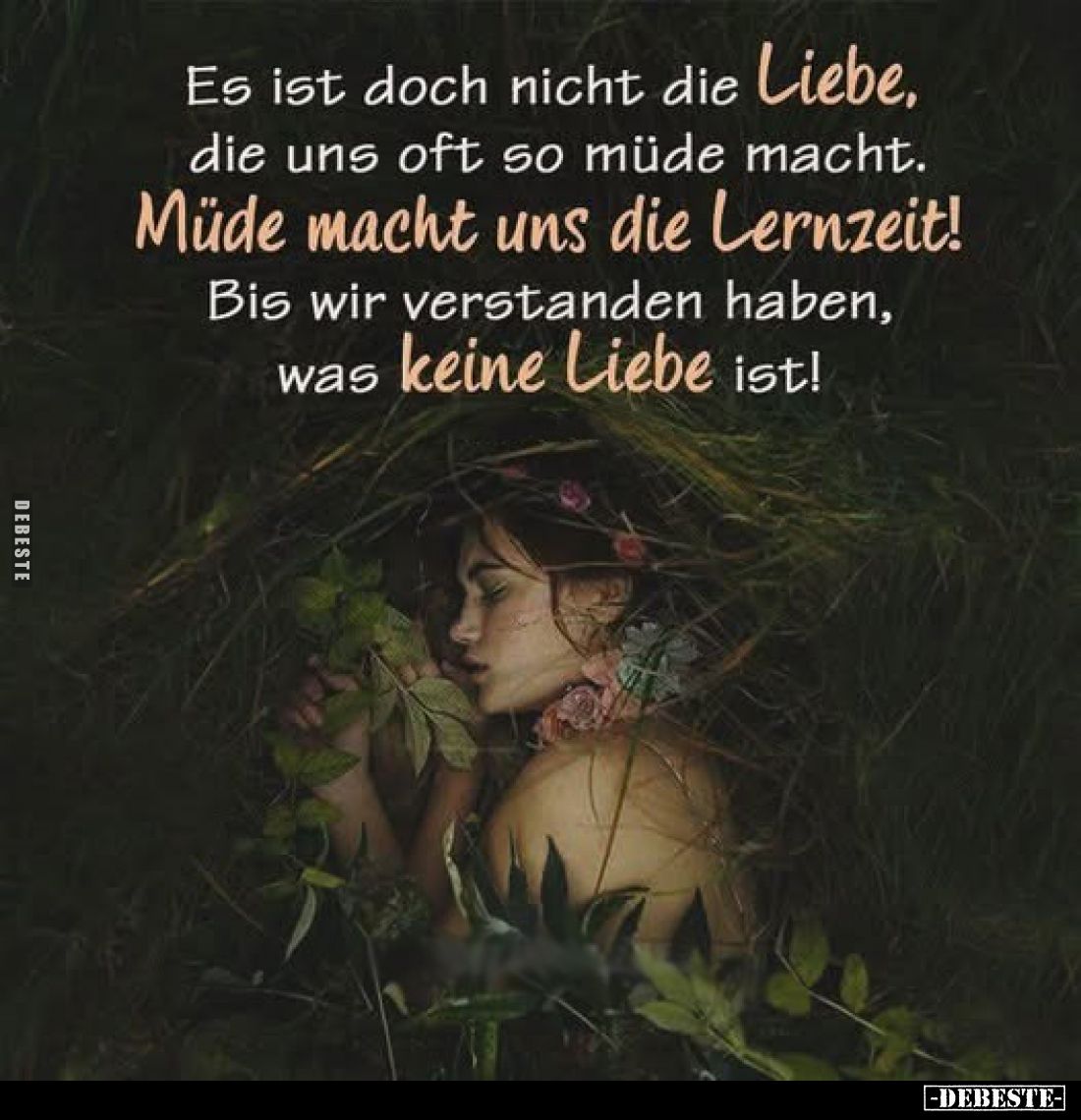 Es ist doch nicht die Liebe, die uns oft so müde macht.
Müde macht uns die Lernzeit!
Bis wir verstanden haben, was keine Li...
