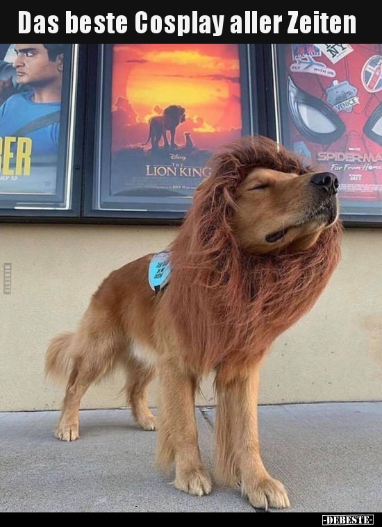 Das beste Cosplay aller Zeiten..