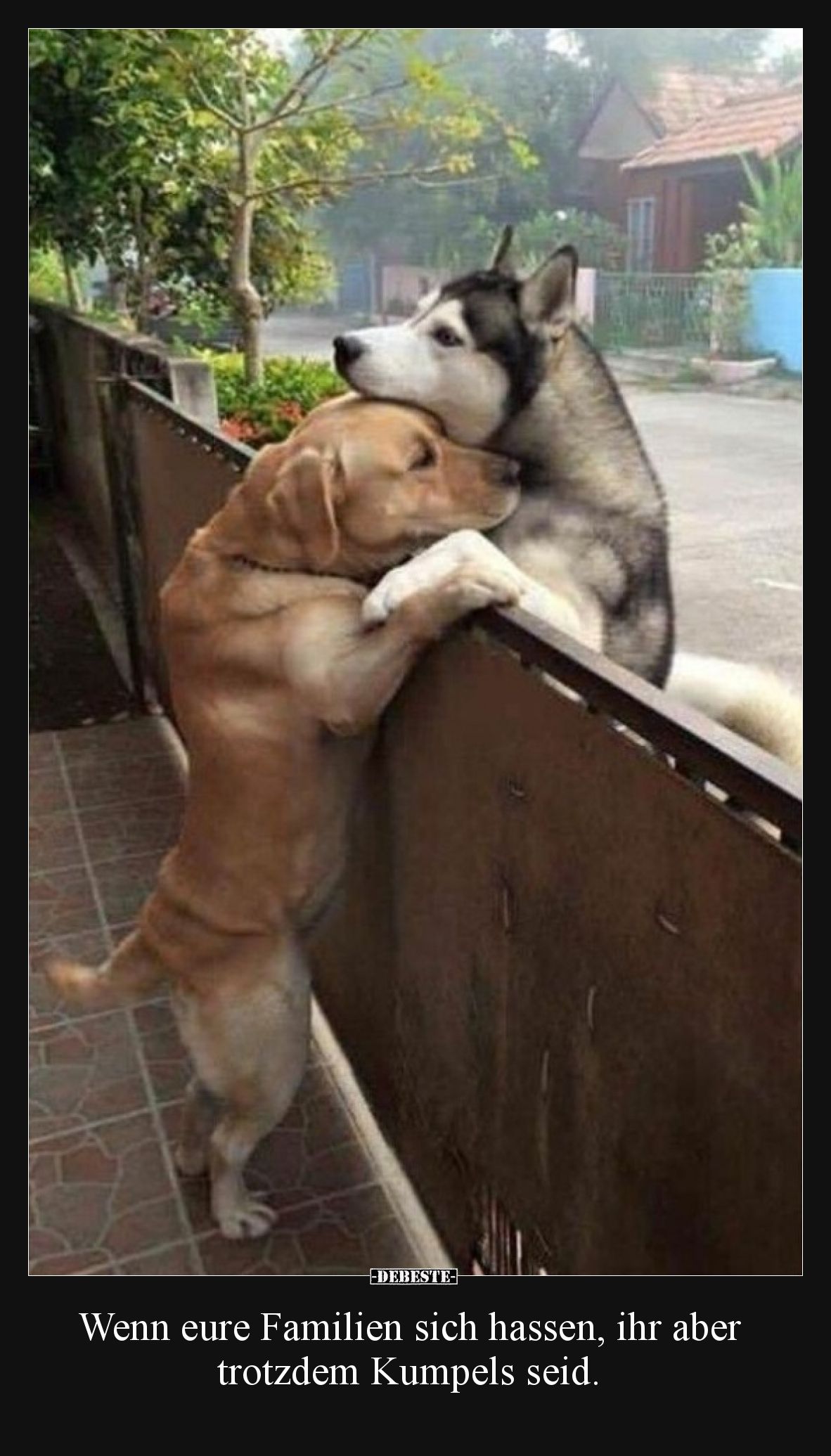 Wenn eure Familien sich hassen, ihr aber trotzdem Kumpels seid.