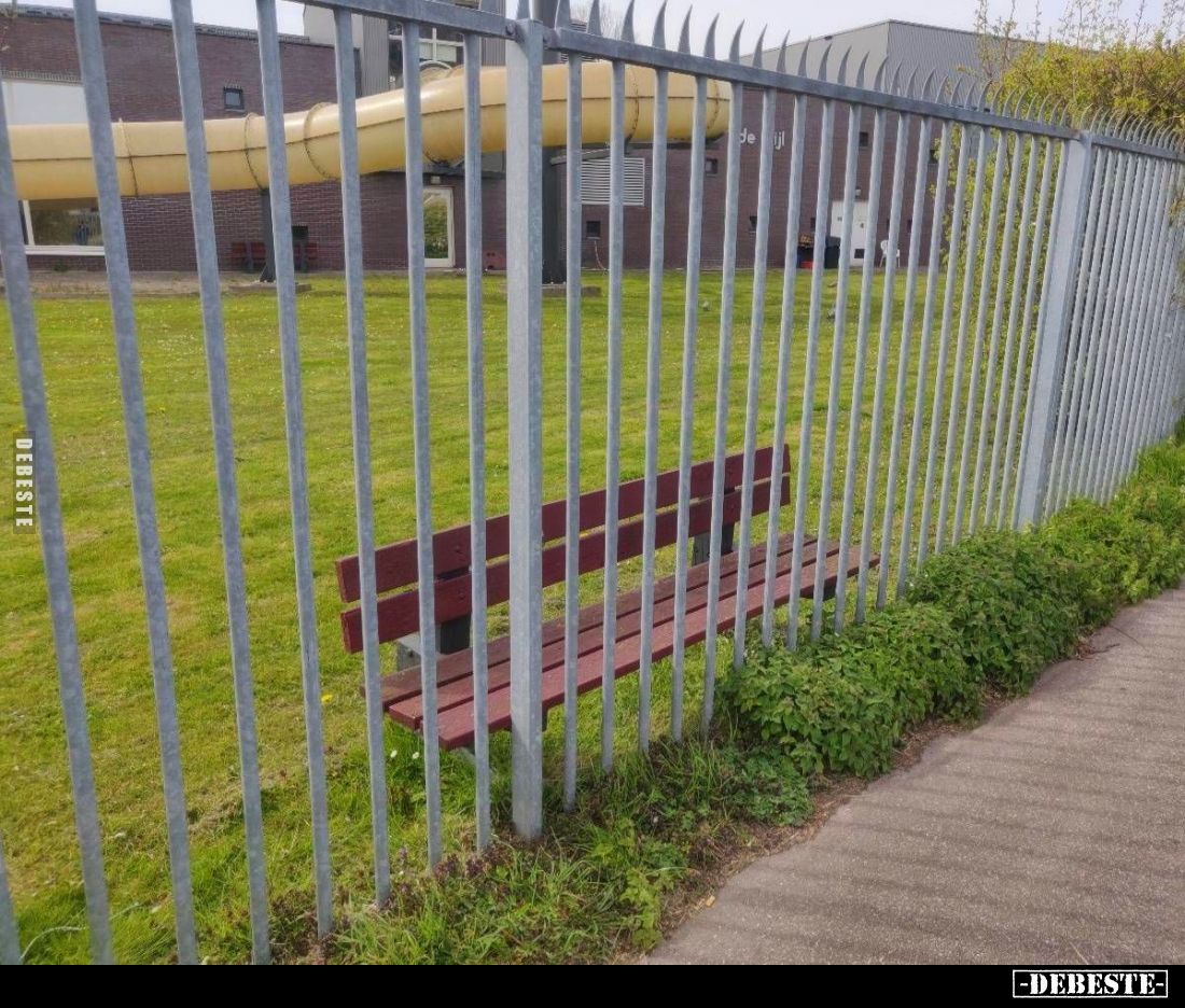  - Lustige Bilder | DEBESTE.de