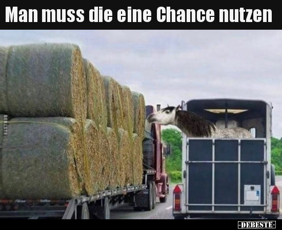 Man muss die eine Chance nutzen