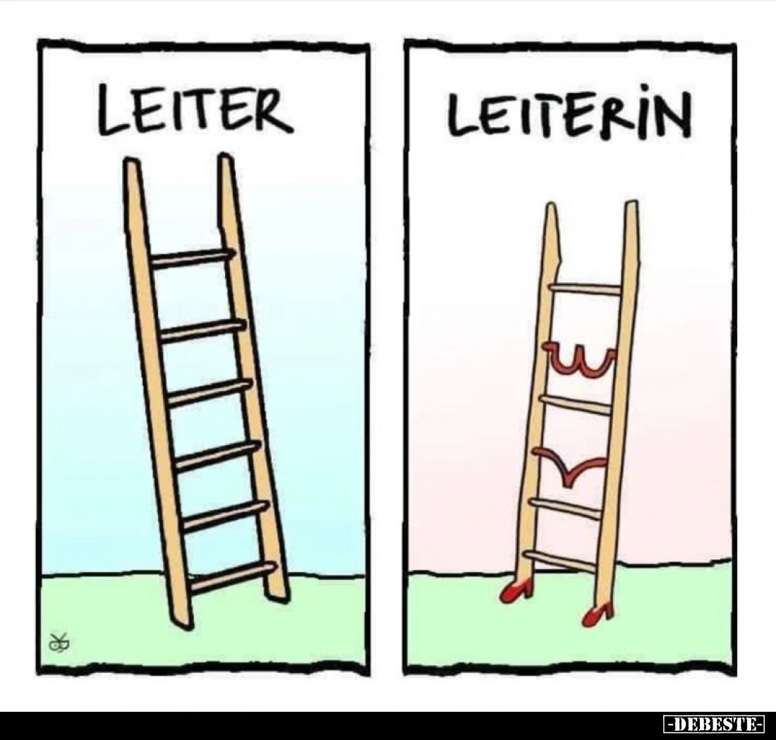 Leiter
-
Leiterin