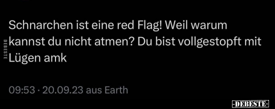 Schnarchen ist eine red Flag!.. - Lustige Bilder | DEBESTE.de