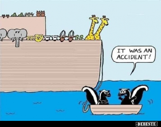 IT WAS AN ACCIDENT!