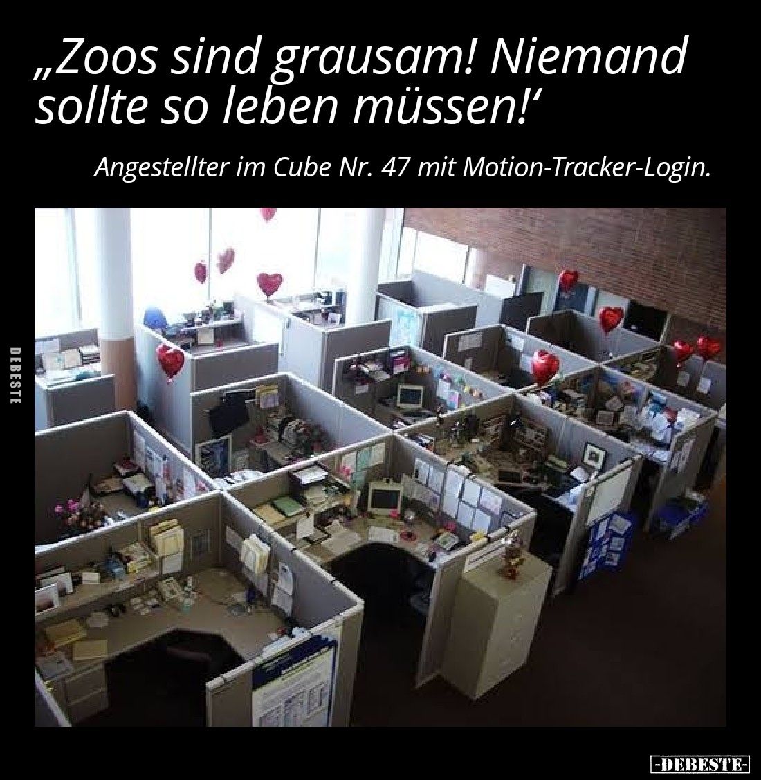 „Zoos sind grausam! Niemand sollte so leben müssen!'
Angestellter im Cube Nr. 47 mit Motion-Tracker-Login.