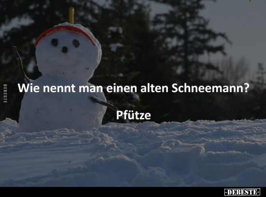 Wie nennt man einen alten Schneemann?... - Lustige Bilder | DEBESTE.de