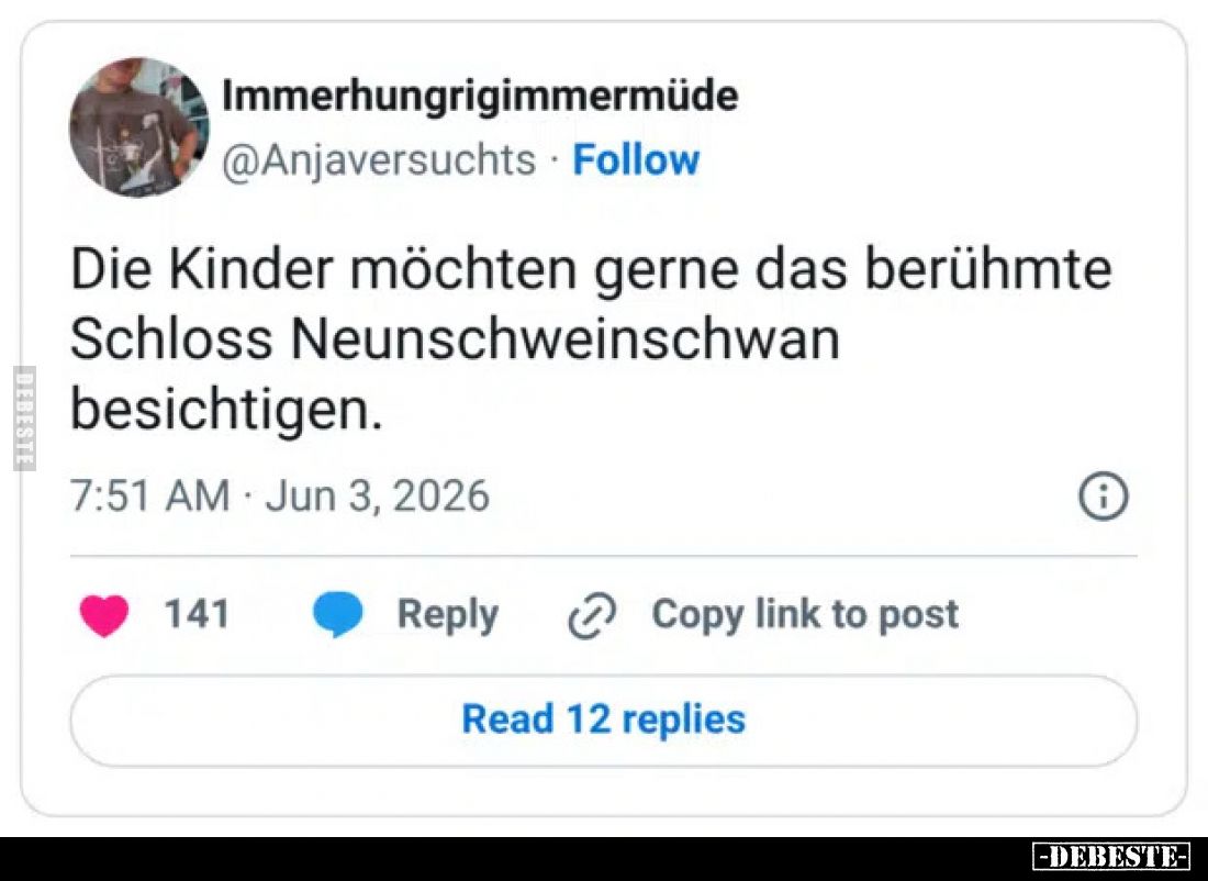 Die Kinder möchten gerne das berühmte Schloss Neunschweinschwan besichtigen.